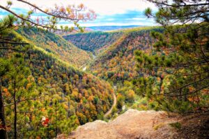 Read more about the article Top 15 destinations in the world to see beautiful fall foliage without the crowds