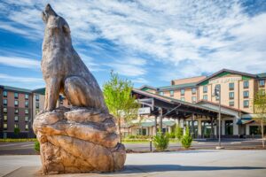 Read more about the article Fun for the family without many frills: My stay at the Great Wolf Lodge Maryland