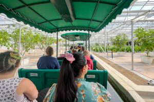 Read more about the article The 21 most underrated things at Disney World: What to see, do and eat that many guests miss