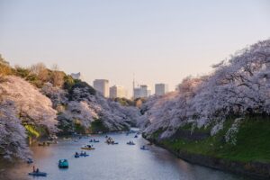Read more about the article American Airlines announces flights from JFK to Tokyo’s Haneda, citing DOT approval